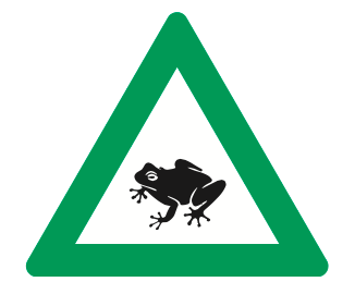 Krötenwanderung