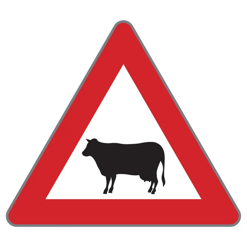 §50/13a Achtung Tiere